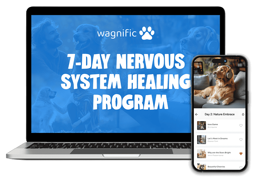 7-Day Nervous System Healing Program